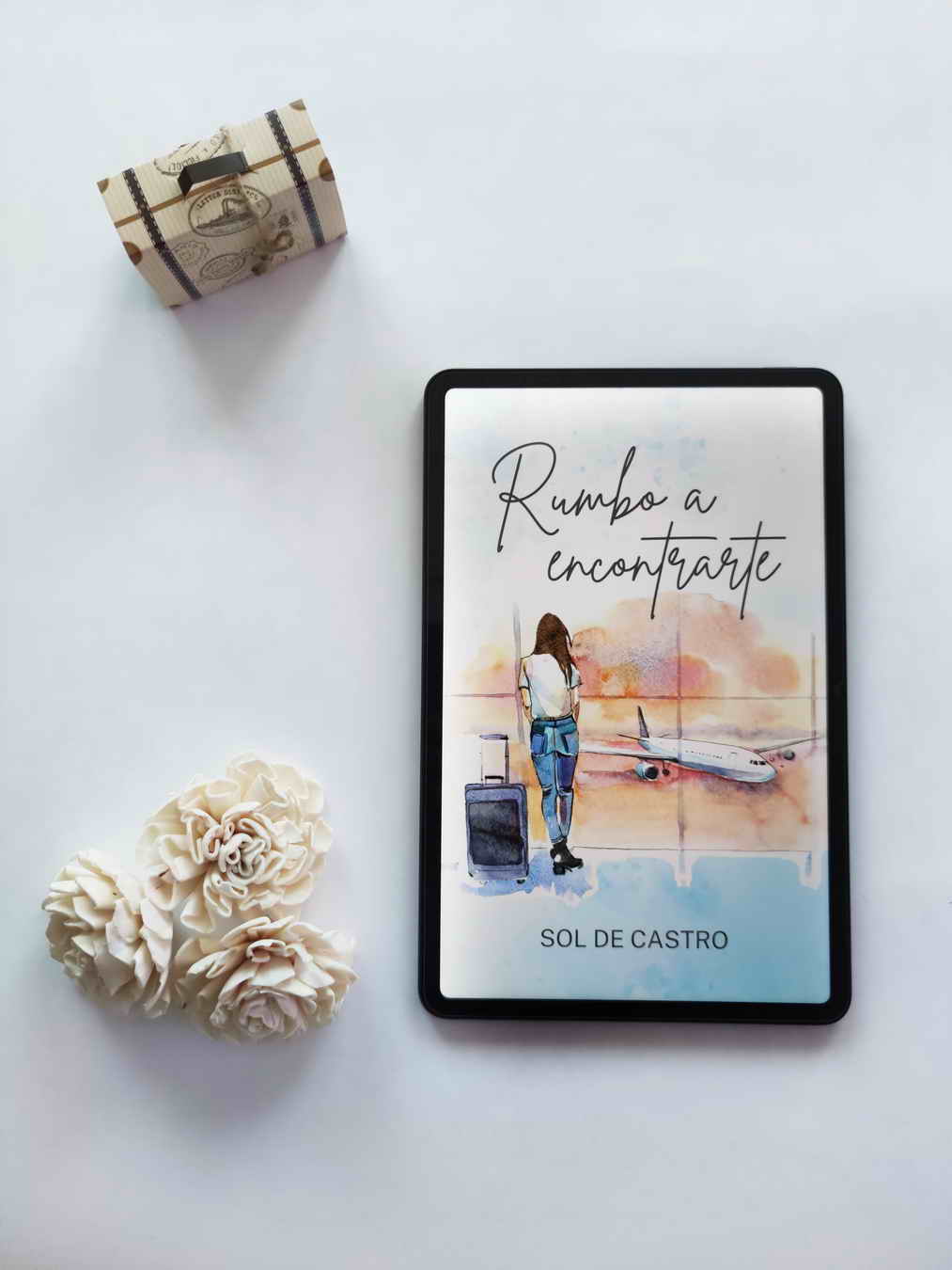 mentoría de novela
