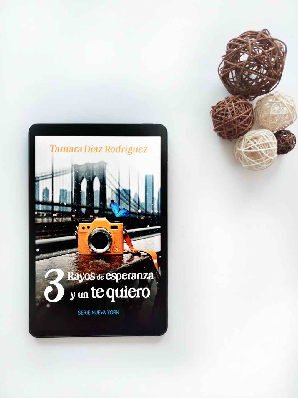 mentoría de novela